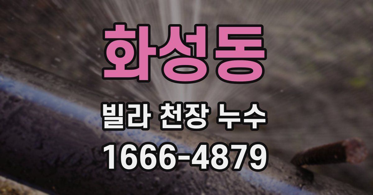 화성동 빌라 천장 누수