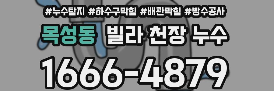 목성동 빌라 천장 누수