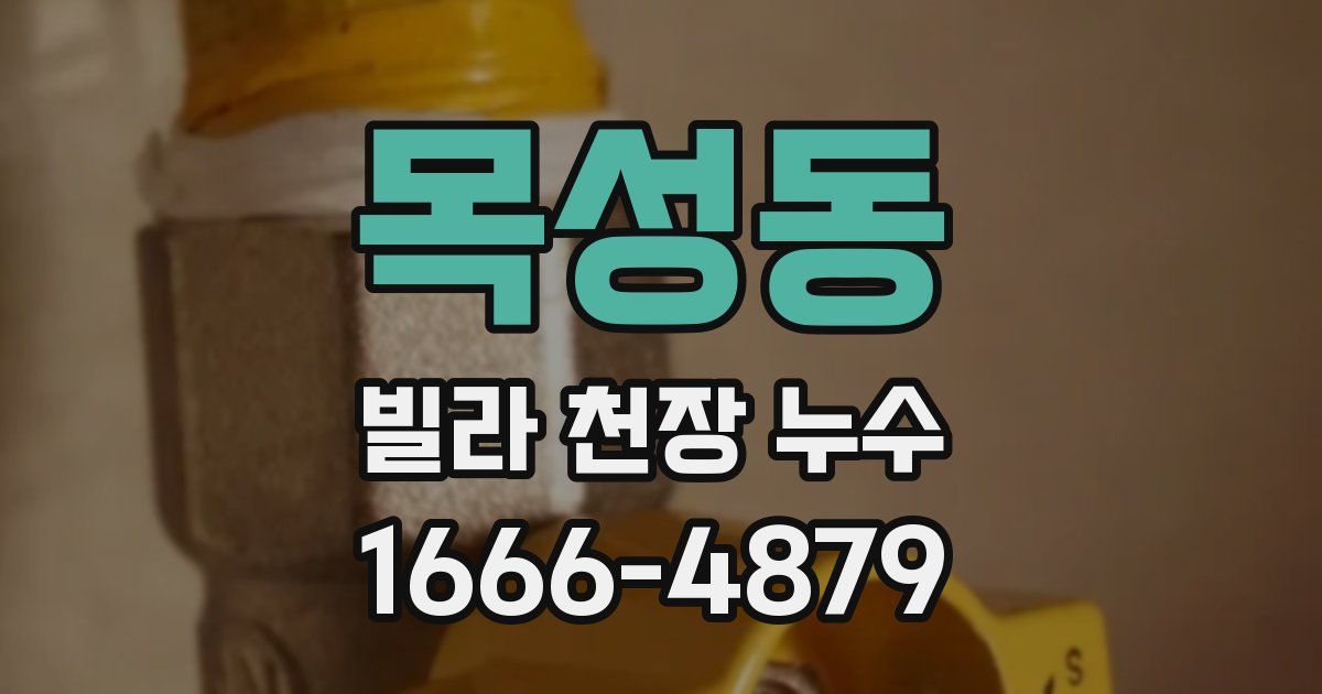 목성동 빌라 천장 누수