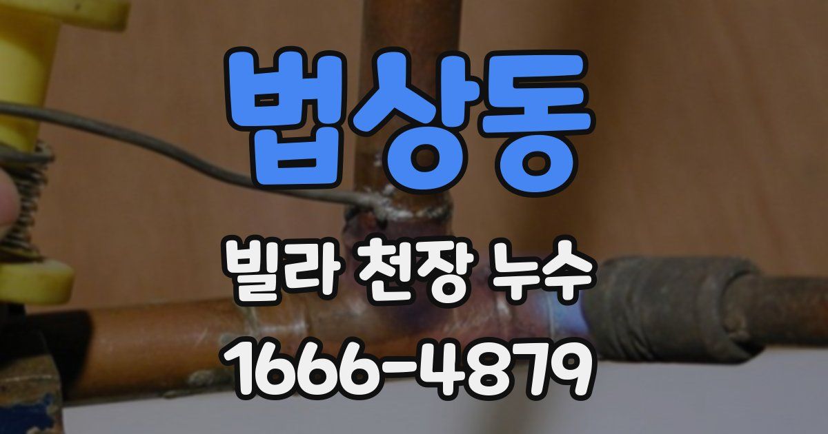 법상동 빌라 천장 누수