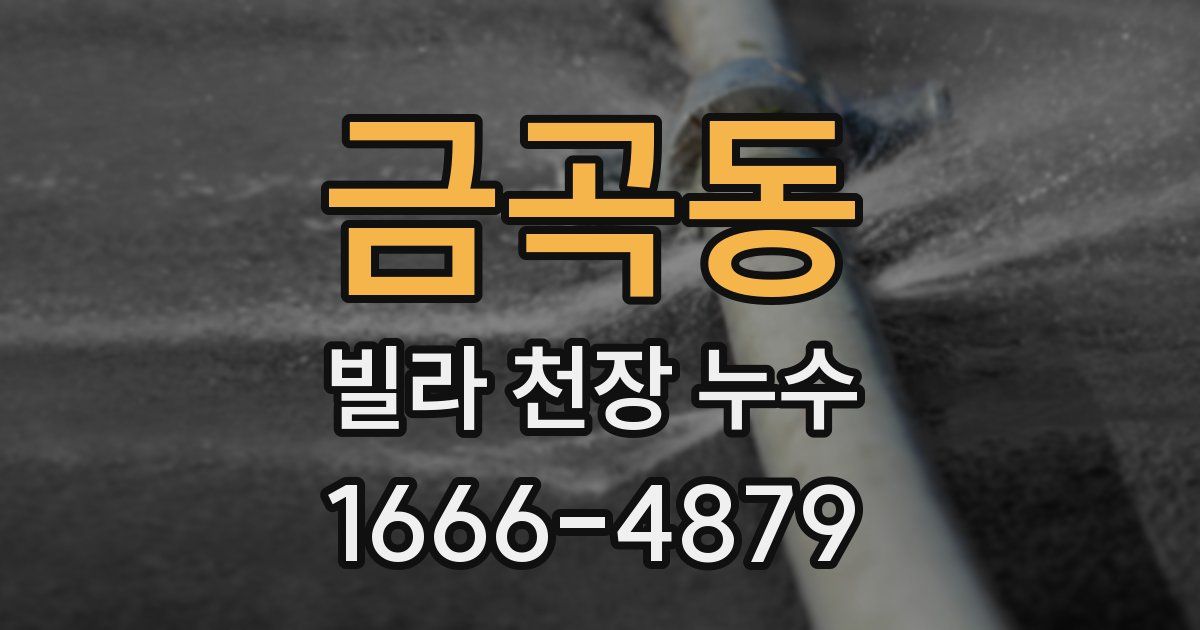금곡동 빌라 천장 누수