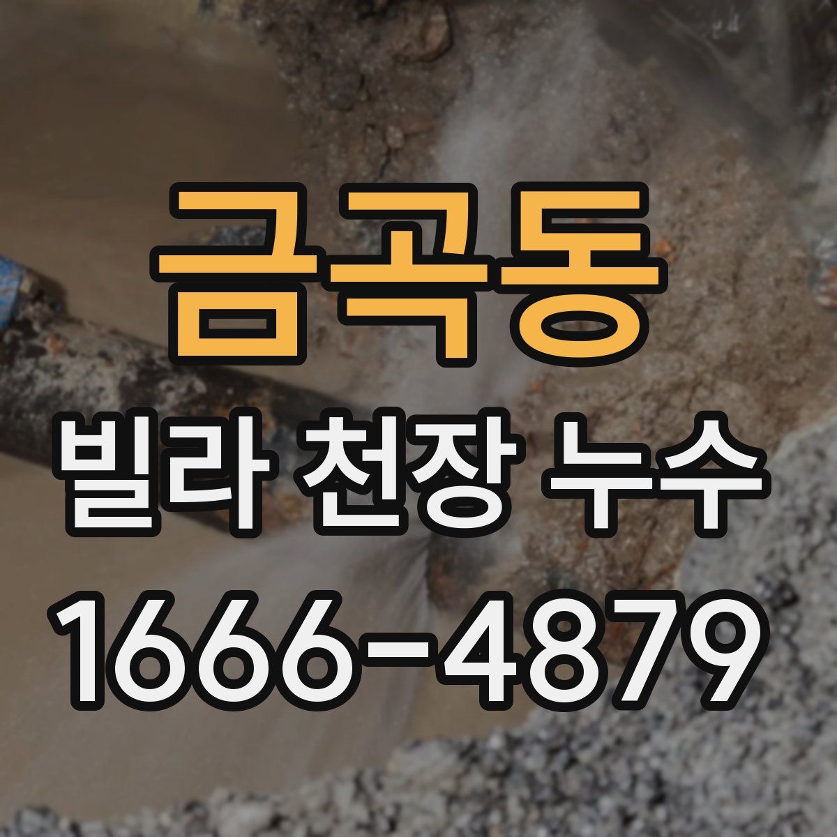 금곡동 빌라 천장 누수