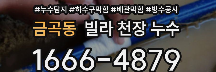 금곡동 빌라 천장 누수