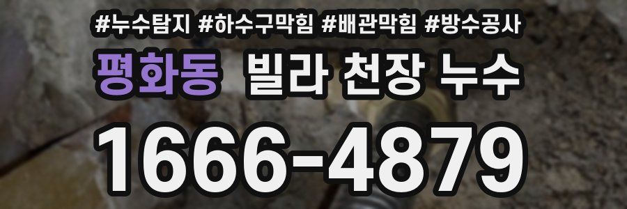 평화동 빌라 천장 누수