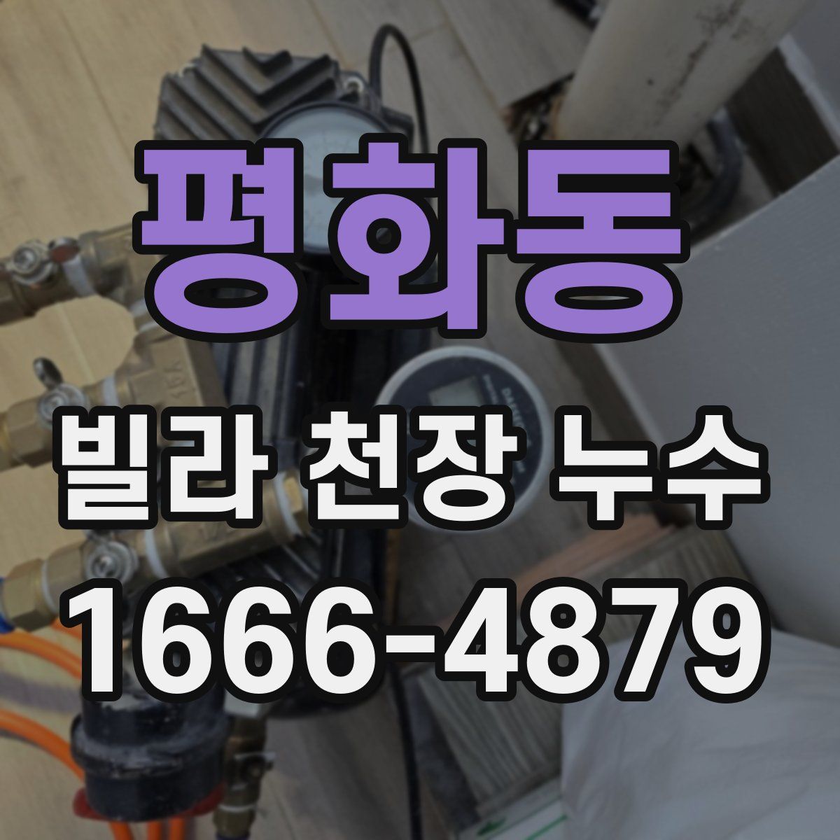 평화동 빌라 천장 누수