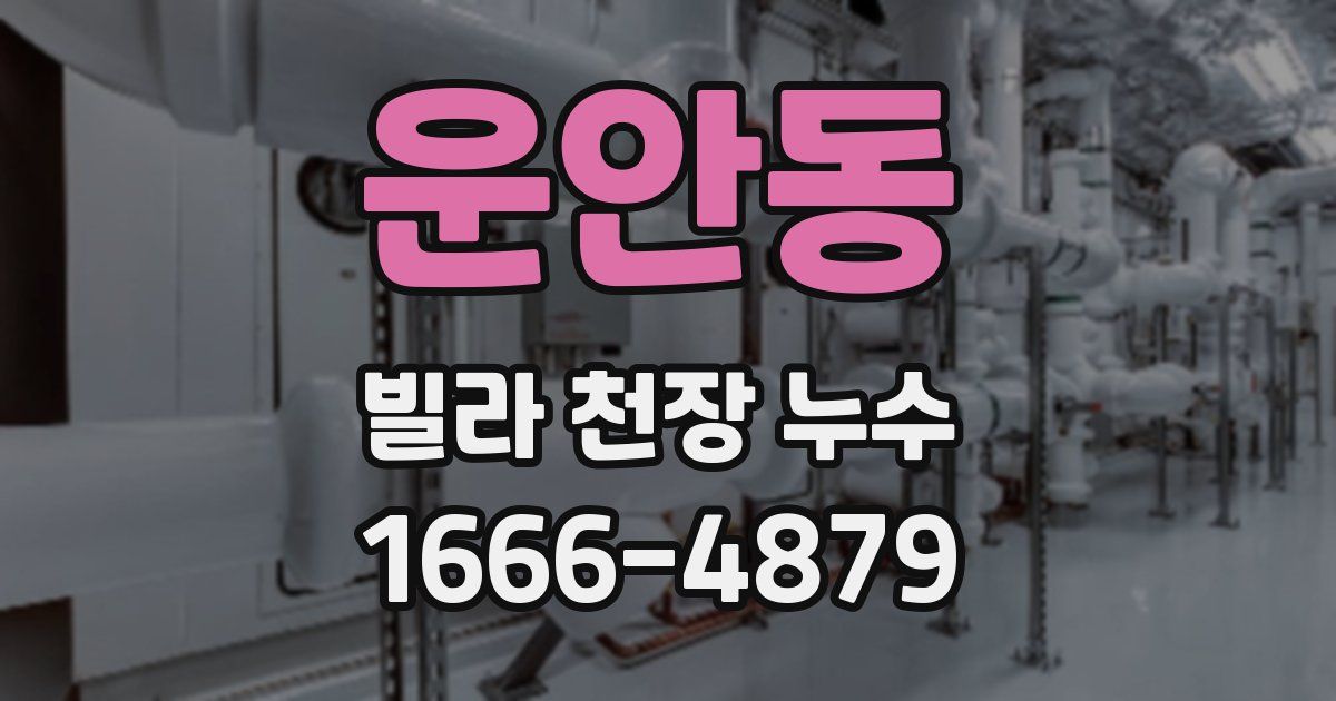 운안동 빌라 천장 누수