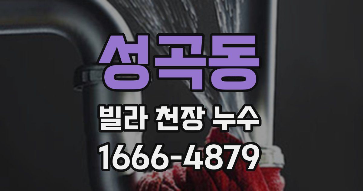 성곡동 빌라 천장 누수