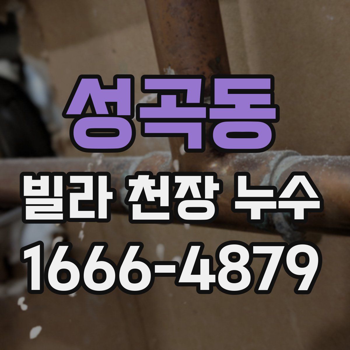 성곡동 빌라 천장 누수