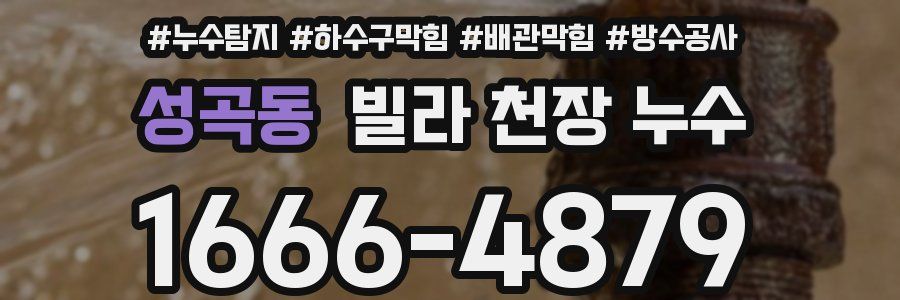 성곡동 빌라 천장 누수