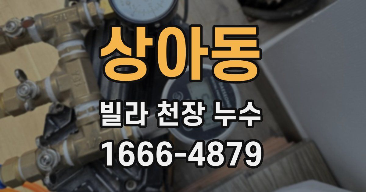 상아동 빌라 천장 누수