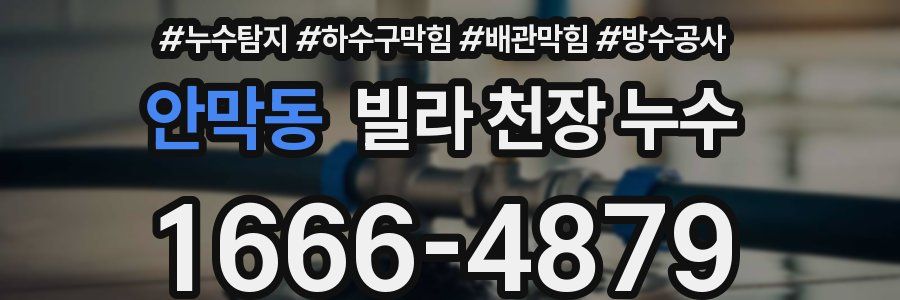 안막동 빌라 천장 누수