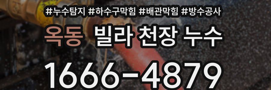 옥동 빌라 천장 누수