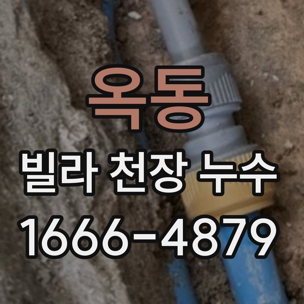 옥동 빌라 천장 누수