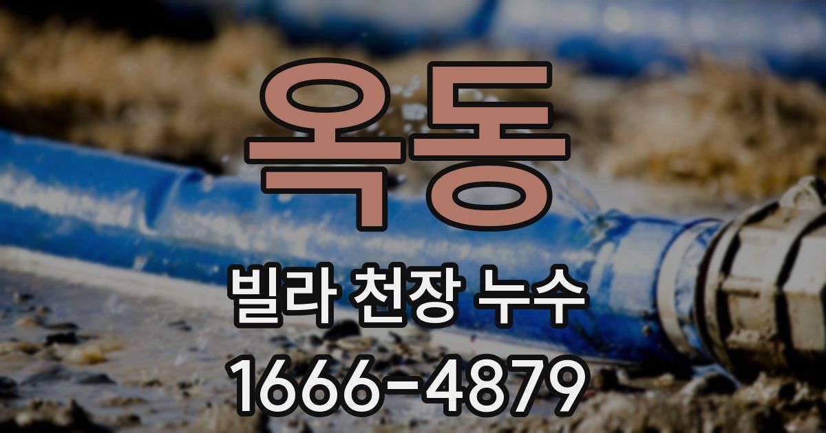 옥동 빌라 천장 누수