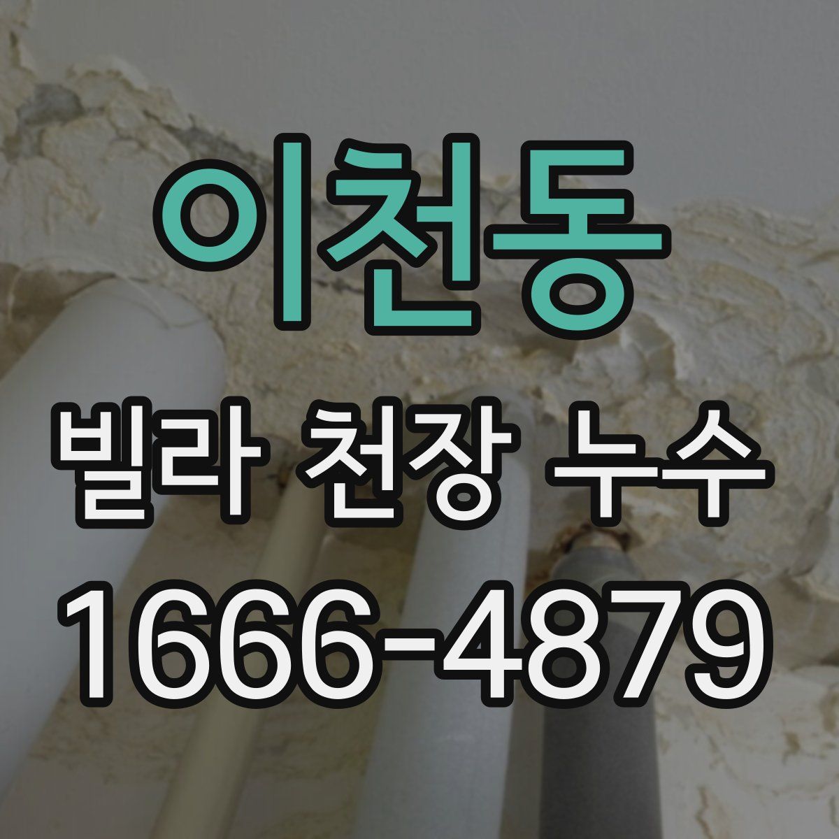 이천동 빌라 천장 누수