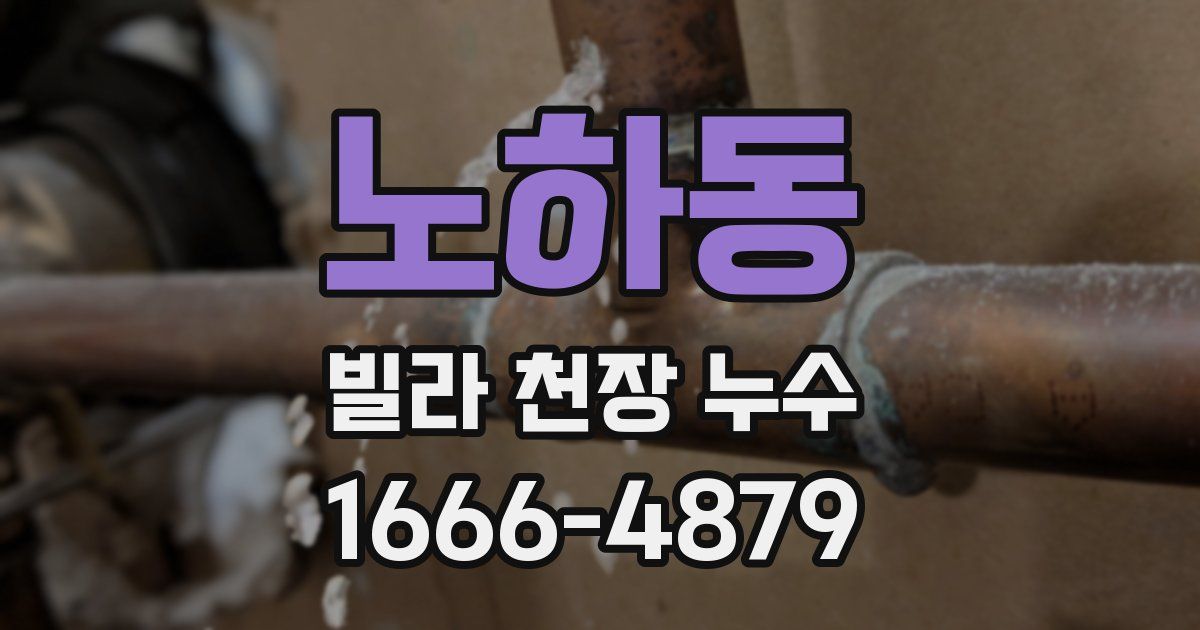노하동 빌라 천장 누수