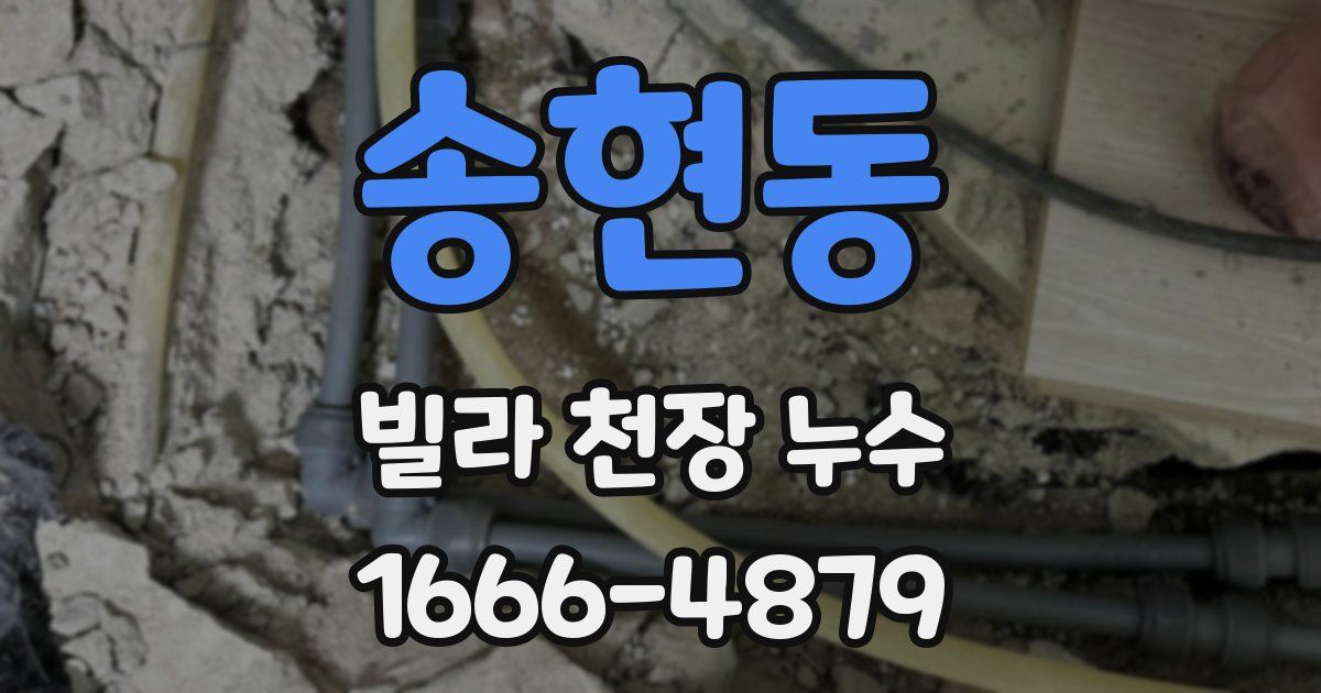 송현동 빌라 천장 누수