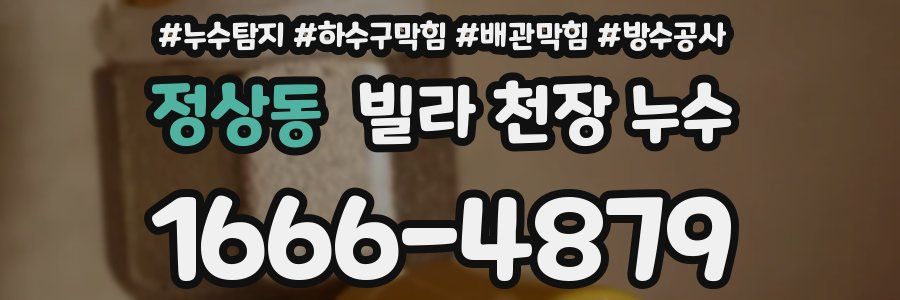 정상동 빌라 천장 누수