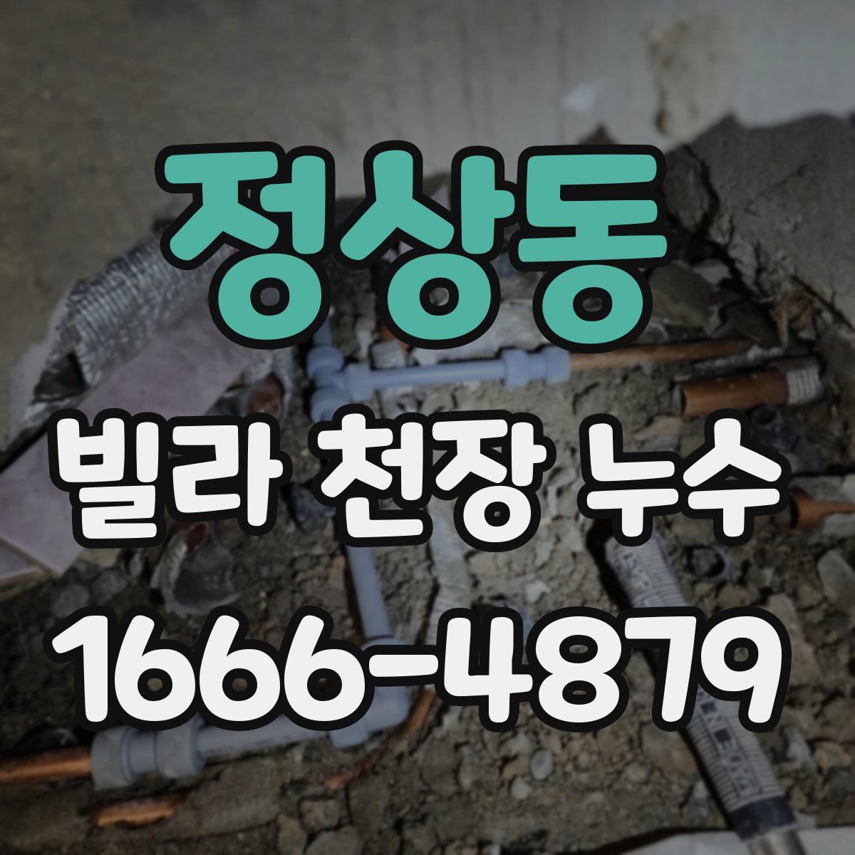 정상동 빌라 천장 누수