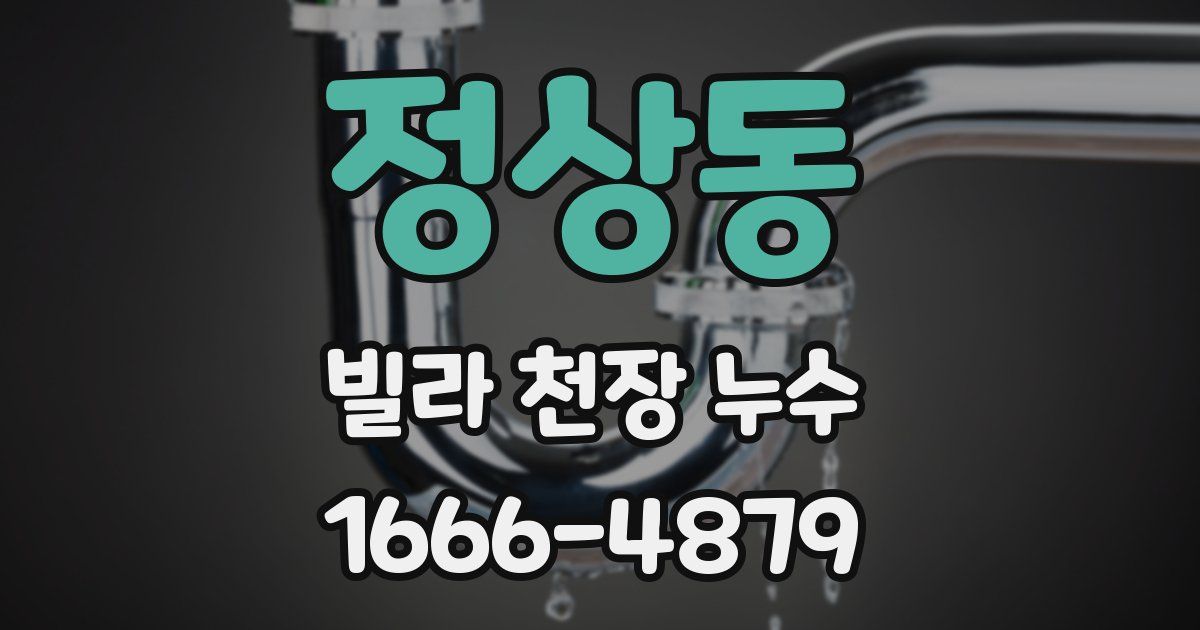 정상동 빌라 천장 누수