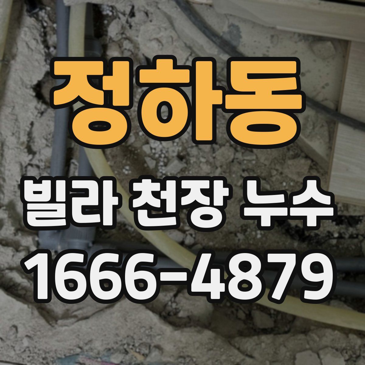 정하동 빌라 천장 누수