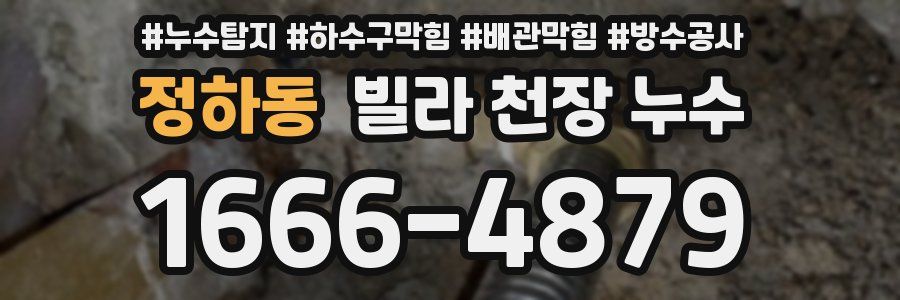 정하동 빌라 천장 누수