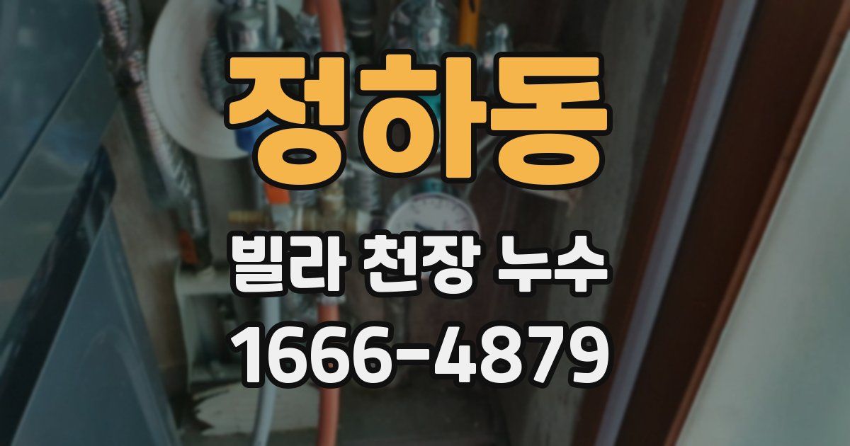정하동 빌라 천장 누수
