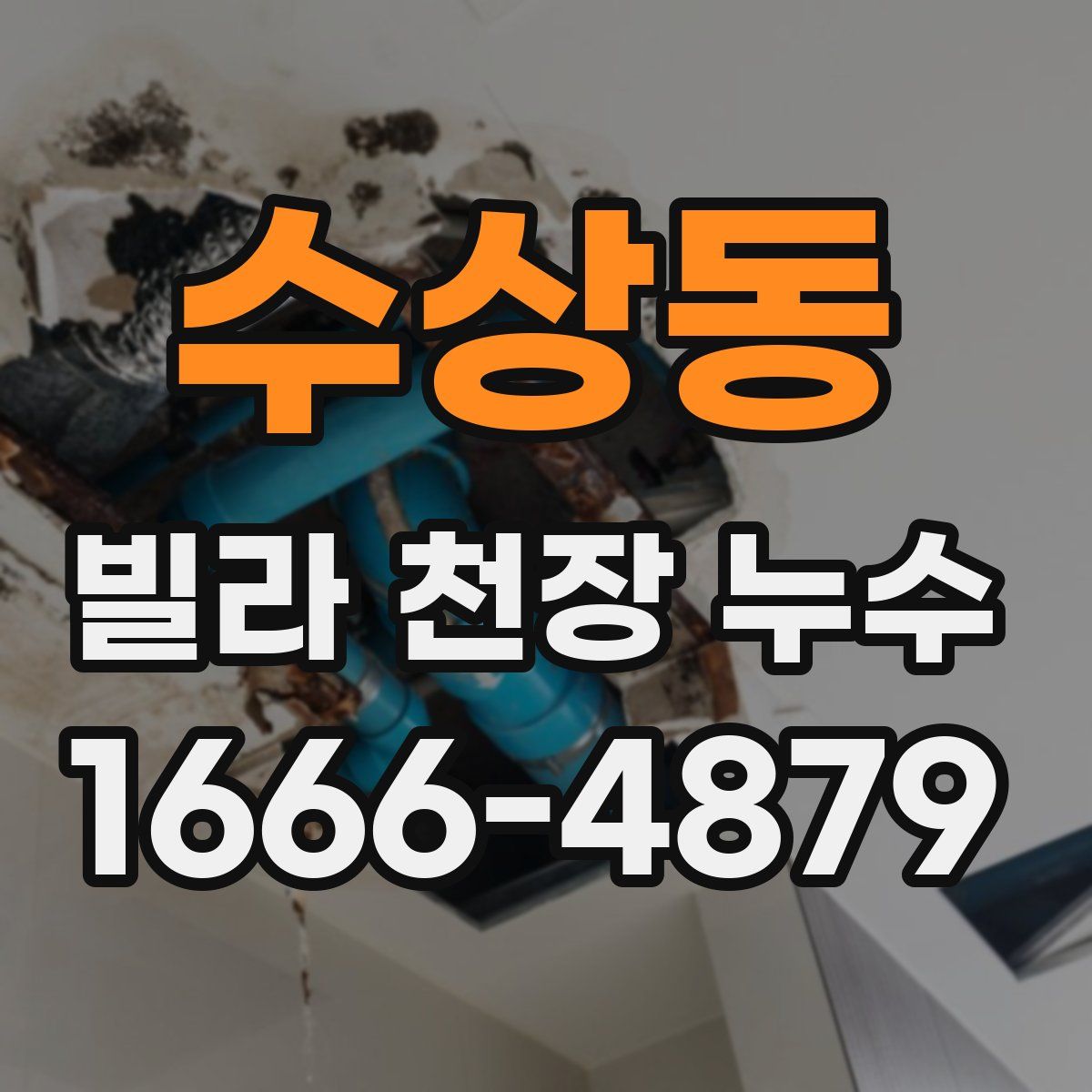 수상동 빌라 천장 누수