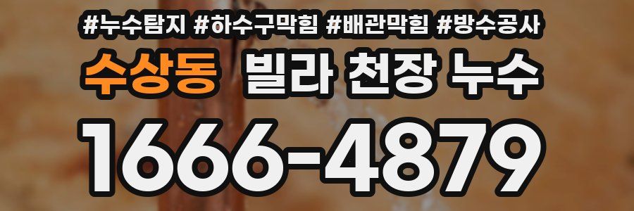 수상동 빌라 천장 누수