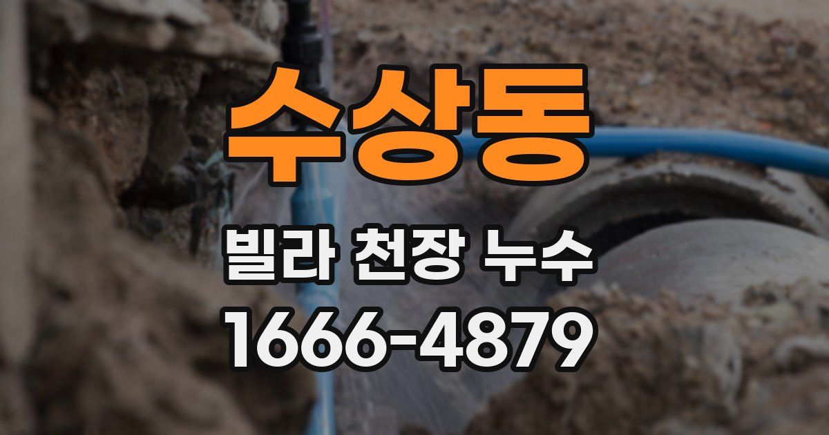 수상동 빌라 천장 누수