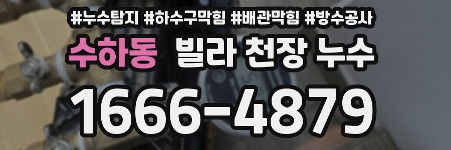 수하동 빌라 천장 누수