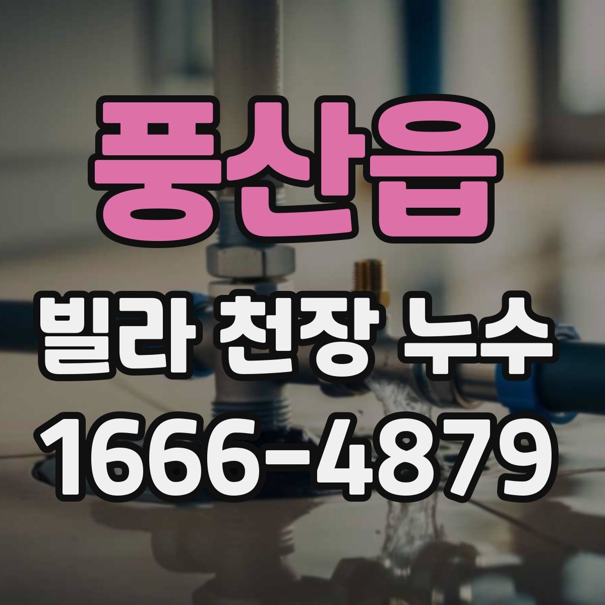 풍산읍 빌라 천장 누수