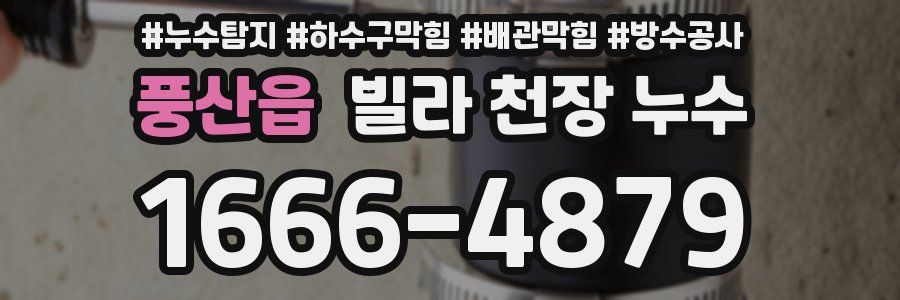 풍산읍 빌라 천장 누수