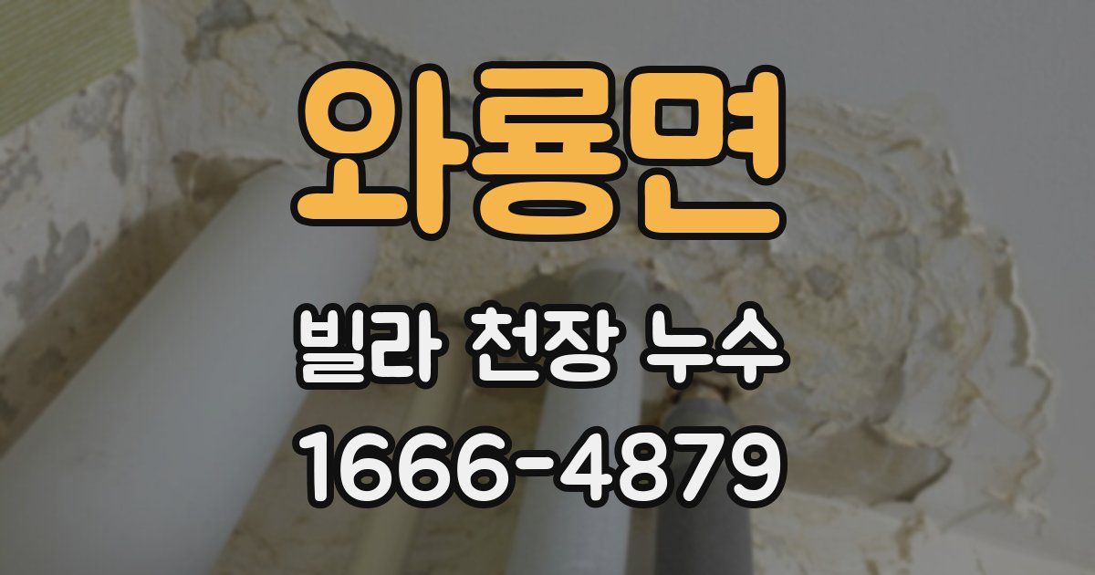 와룡면 빌라 천장 누수