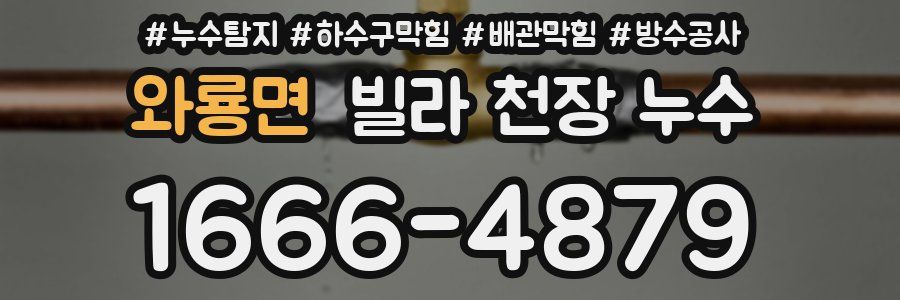 와룡면 빌라 천장 누수