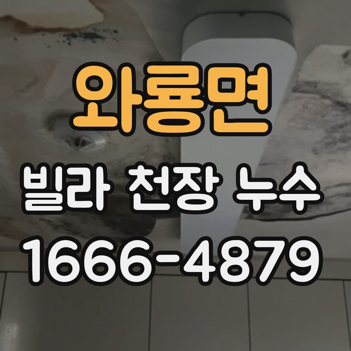 와룡면 빌라 천장 누수