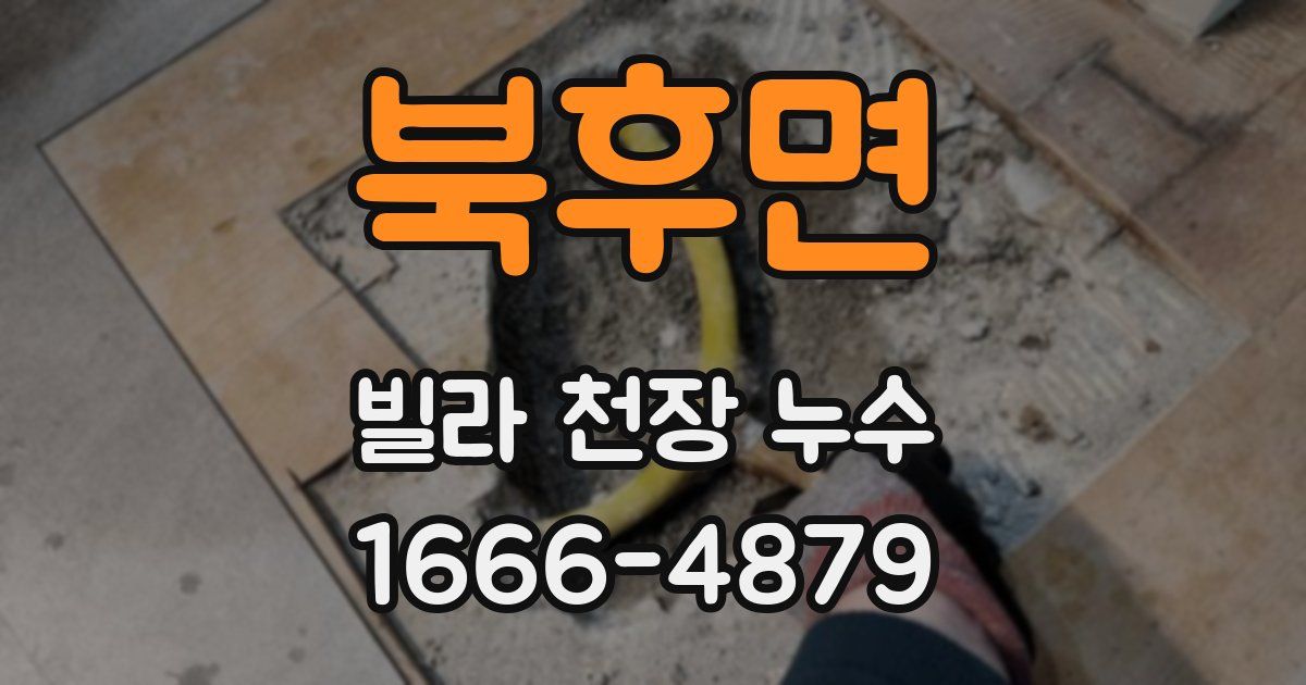 북후면 빌라 천장 누수