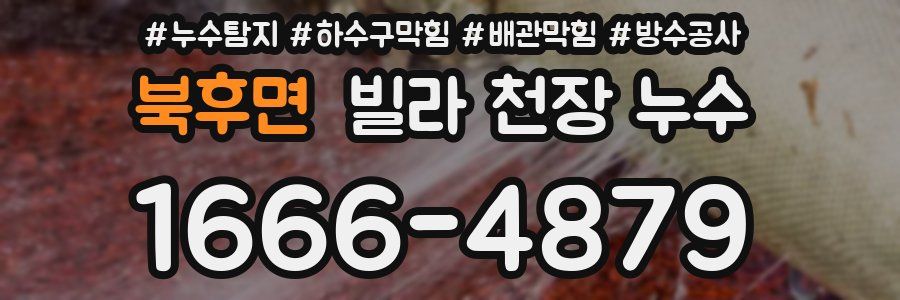 북후면 빌라 천장 누수
