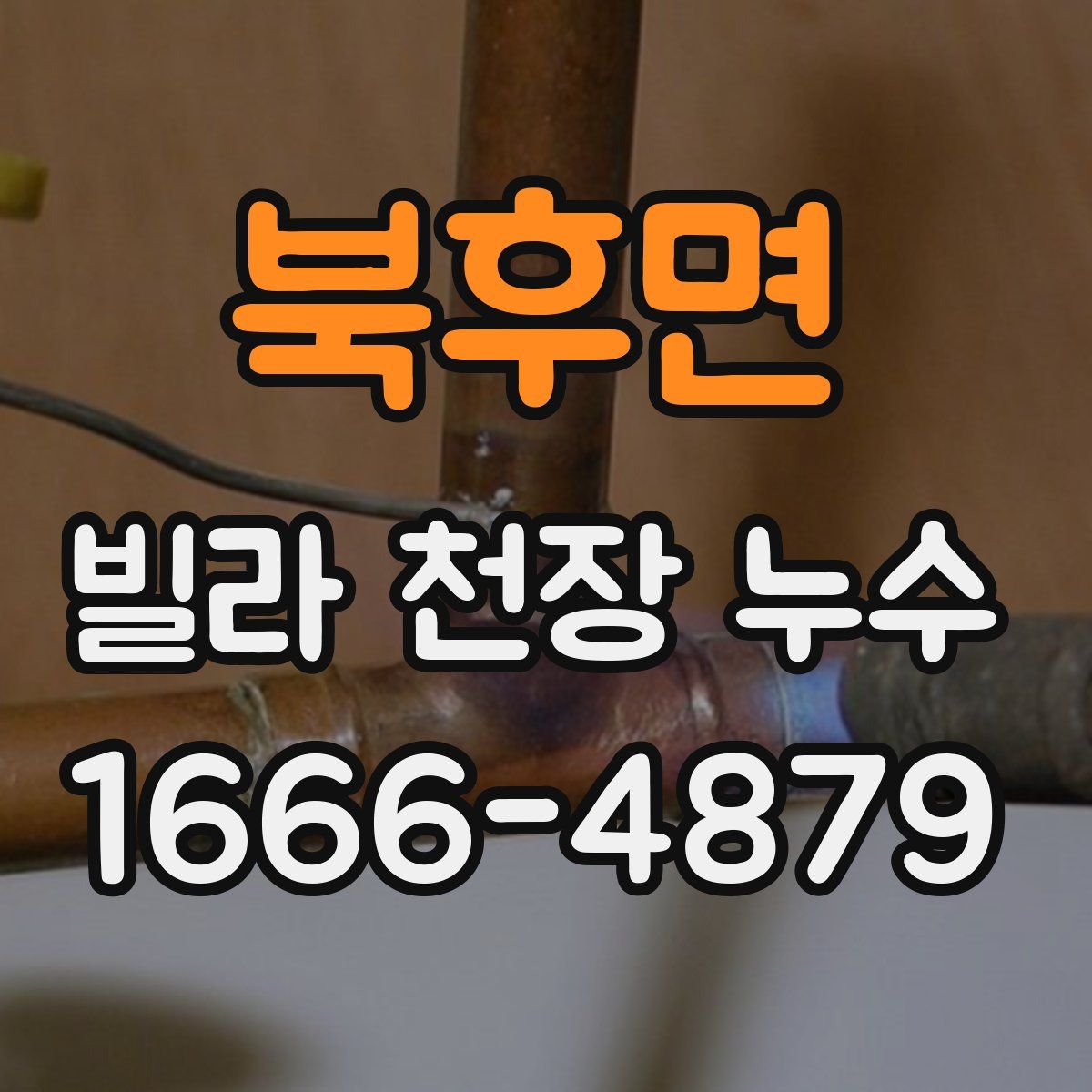 북후면 빌라 천장 누수