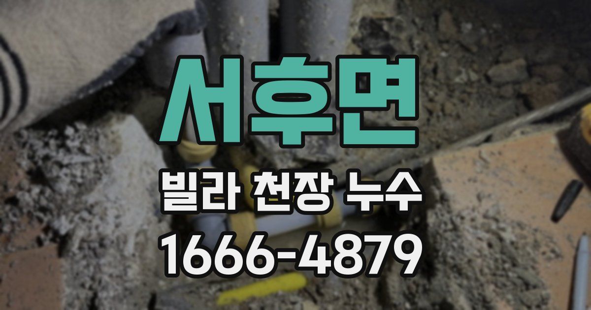 서후면 빌라 천장 누수