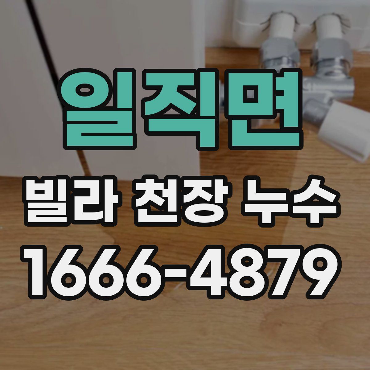 일직면 빌라 천장 누수