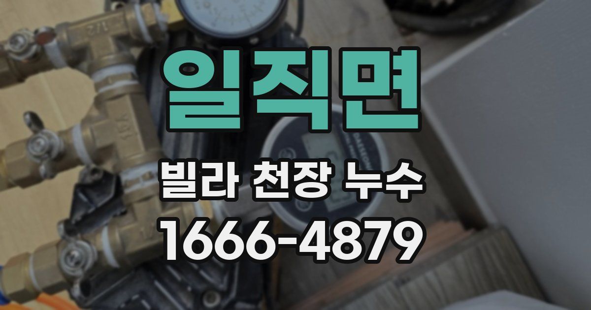 일직면 빌라 천장 누수