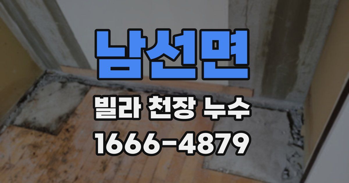 남선면 빌라 천장 누수