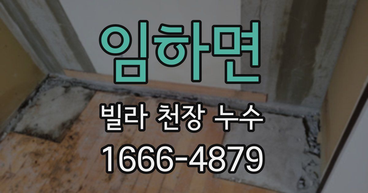 임하면 빌라 천장 누수