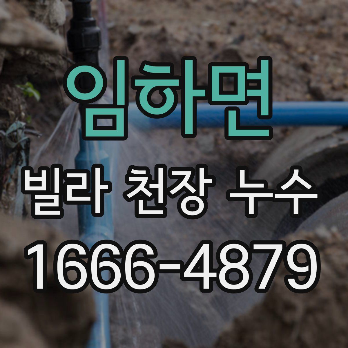 임하면 빌라 천장 누수