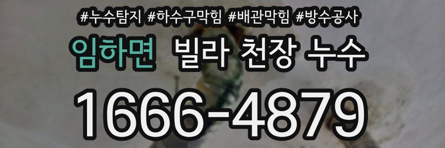 임하면 빌라 천장 누수