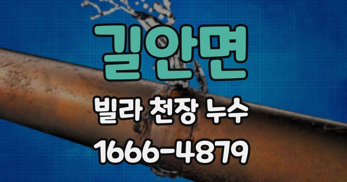 길안면 빌라 천장 누수