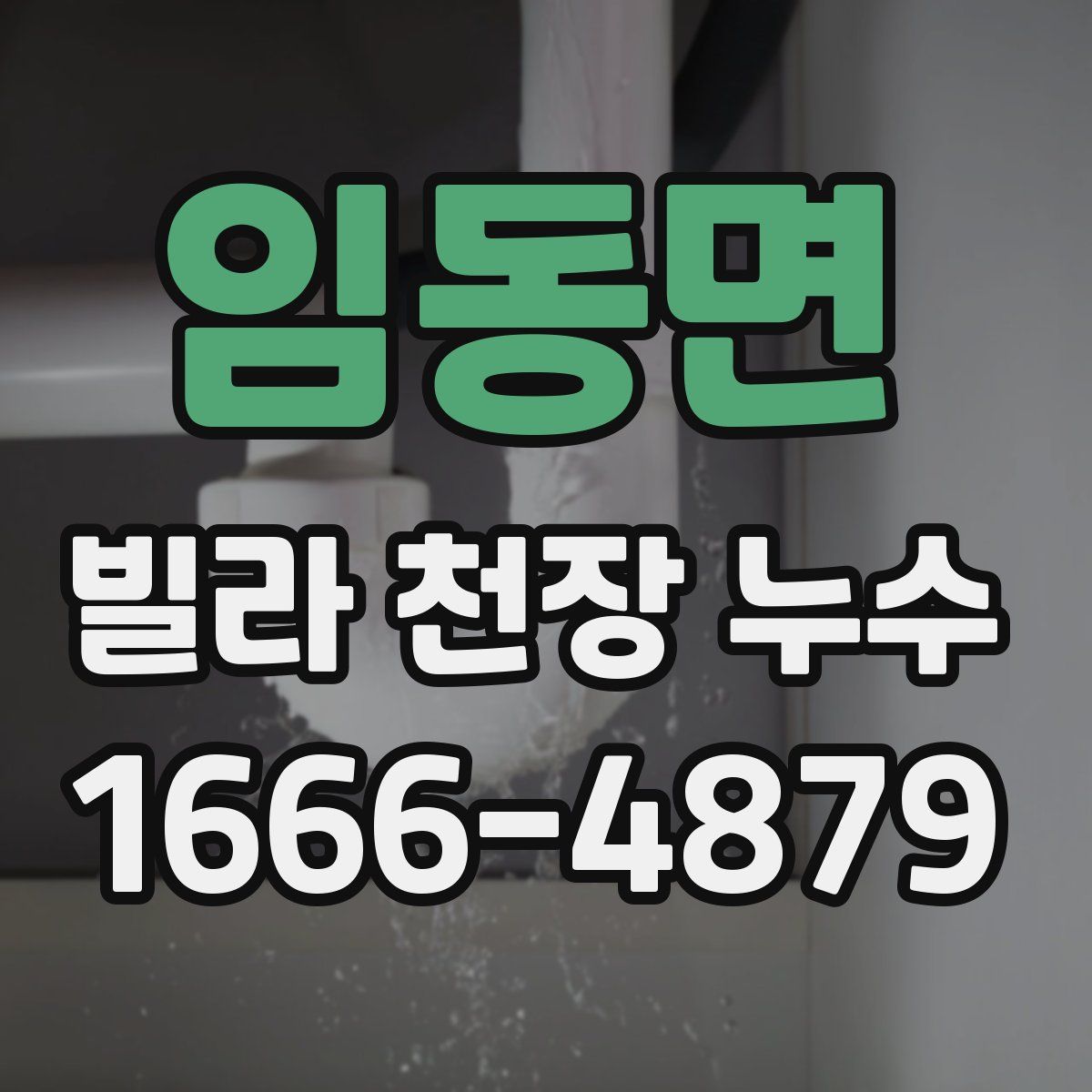 임동면 빌라 천장 누수
