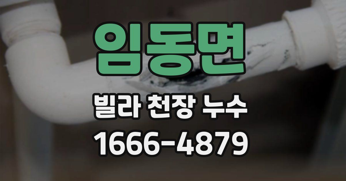 임동면 빌라 천장 누수