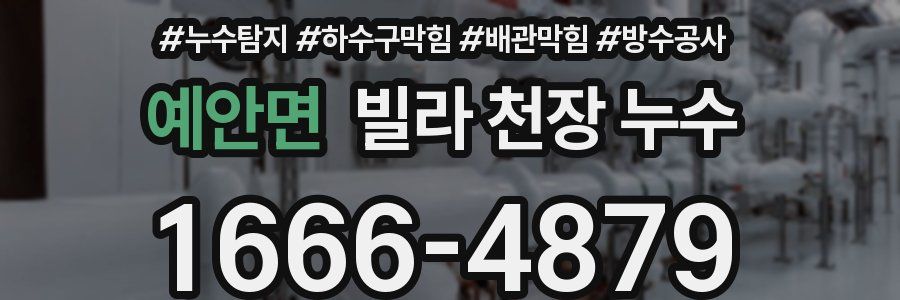 예안면 빌라 천장 누수
